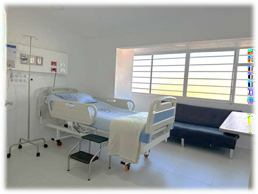 Hospitalización